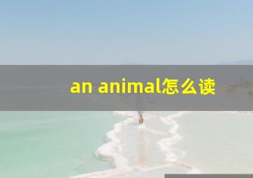 an animal怎么读